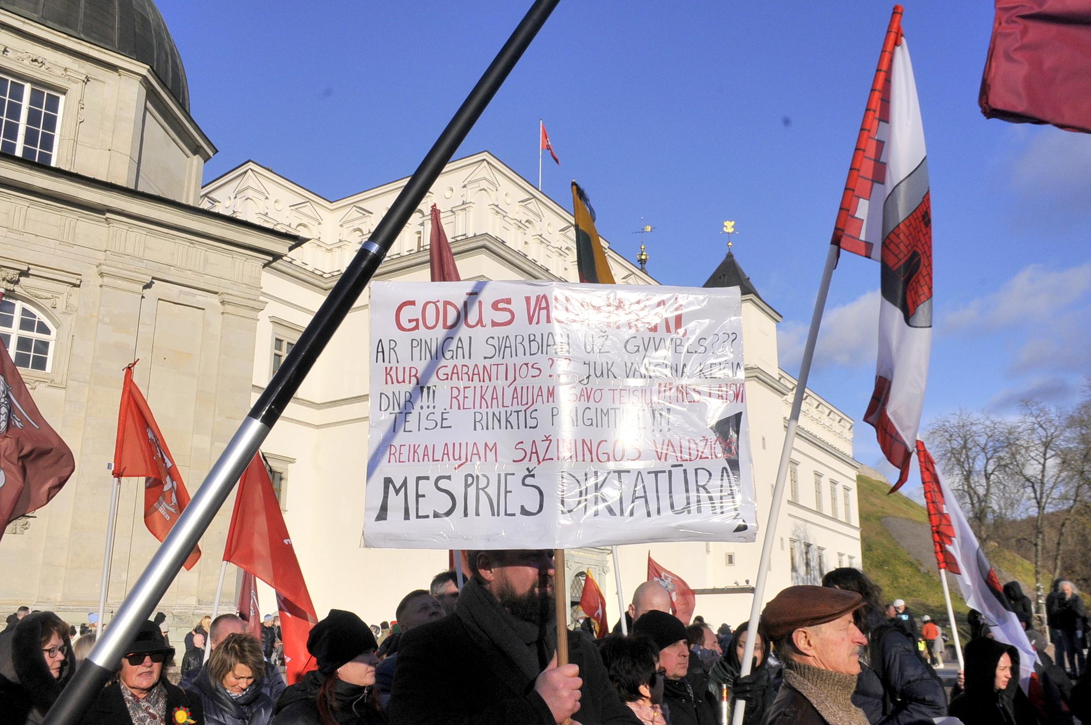 Против действующей власти. Митинг против введения войск в Литве 91.