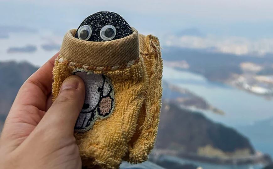 В Корее вместо домашних питомцев модно заводить камни - Общество ...