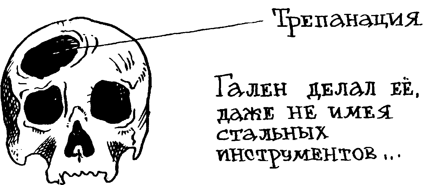 Классик античной медицины - Статьи об истории - газета «Обзор», новости  Литвы