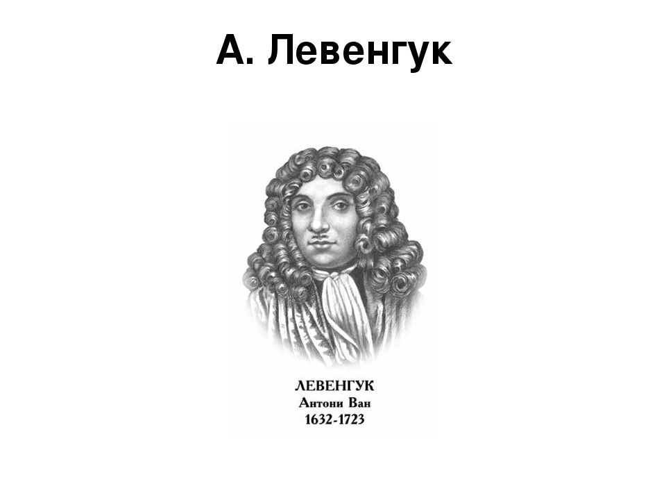 Антони ван левенгук. Антони Ван Левенгук портрет. Антони Ван Левенгук годы жизни. Левенгук 1696 год. Антони Ван Левенгук на белом фоне.