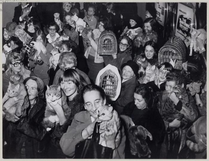 Посетители кинотеатра в Амстердаме вместе со своими кошками ждут начала премьеры фильма «Гарри и Тонто» о старике и его коте, после того как хозяева кинотеатра объявили, что вход на фильм будет бесплатным для тех, кто принесет с собой кота, 1975 год.