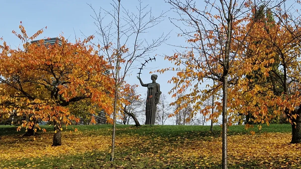 Фото Александра Шахова, "Обзор"