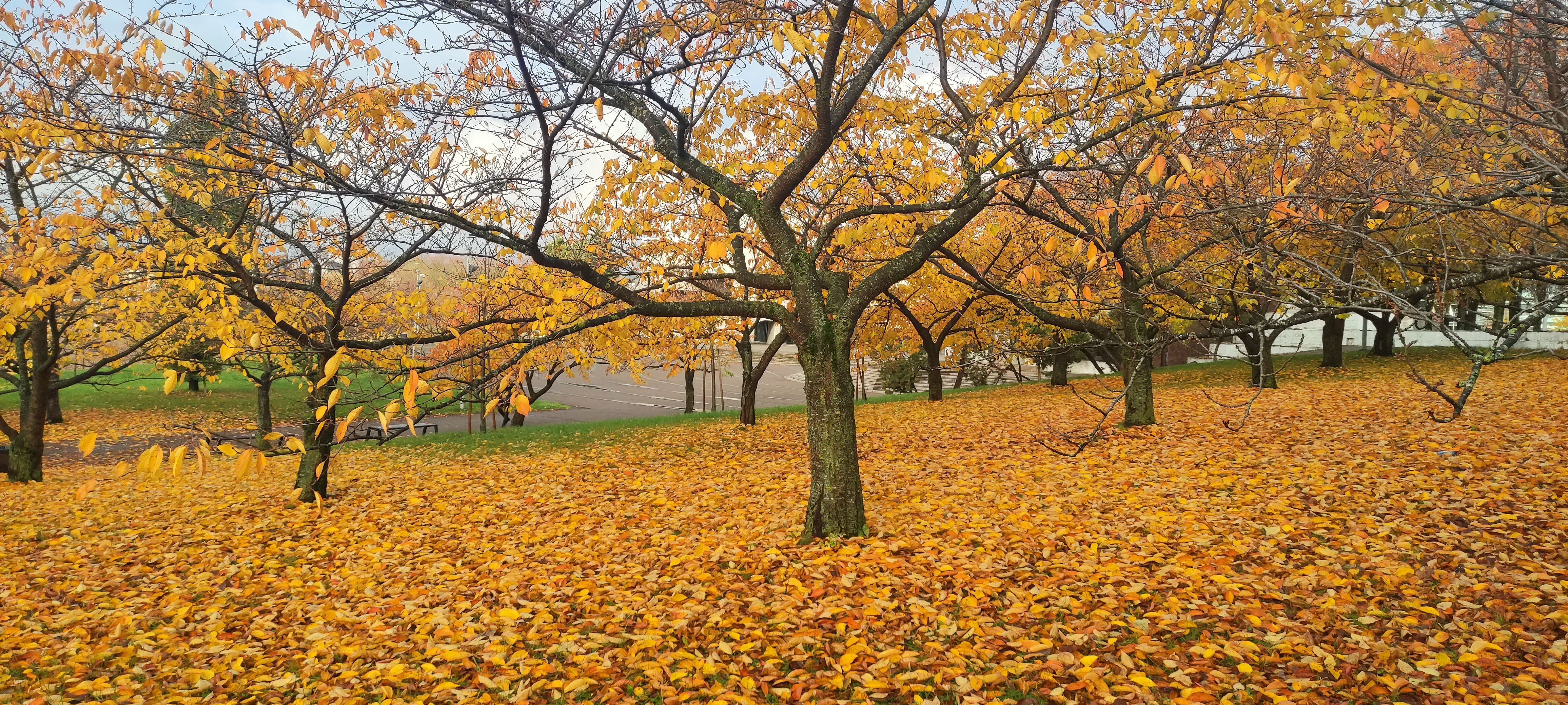 Фото Понада Викторова, "Обзор"