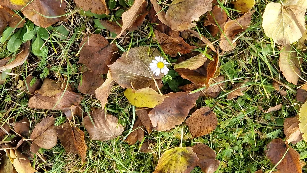 Фото Александра Шахова, "Обзор"