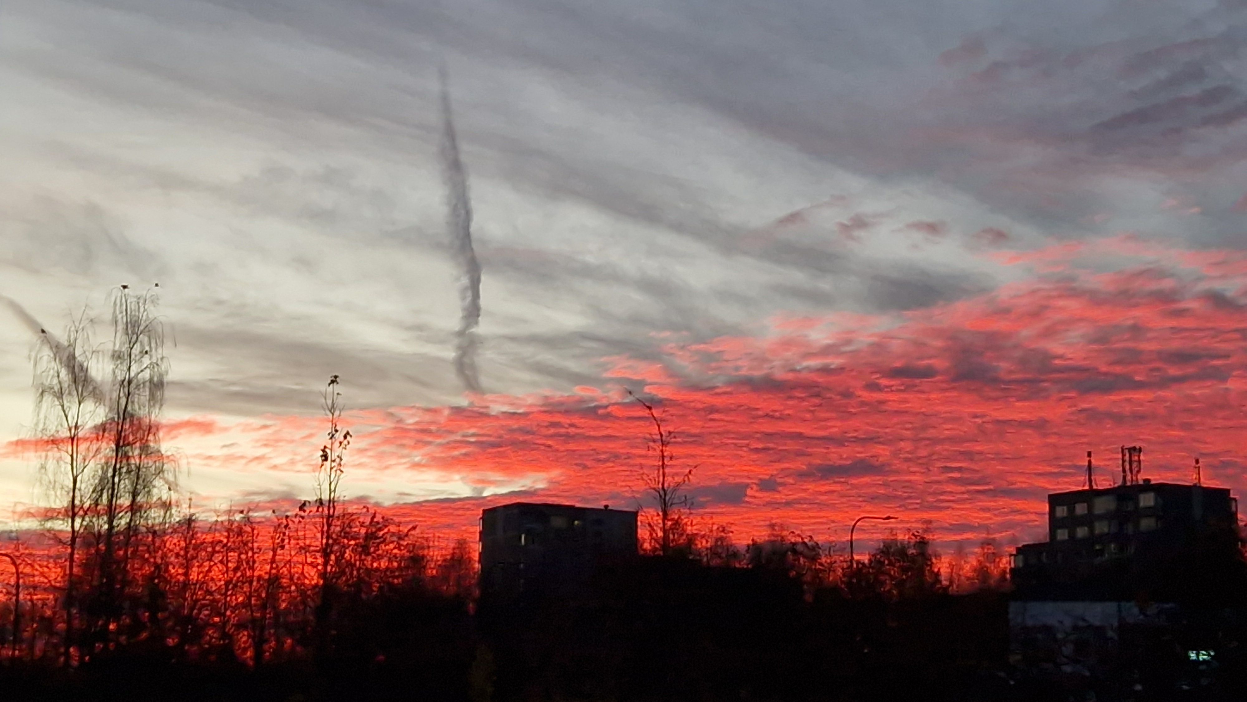 Фото Александра Шахова, "Обзор"