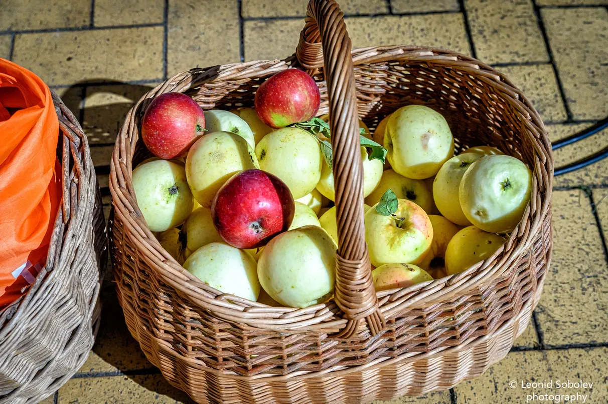 Фото Леонида Соболева, "Обзор"