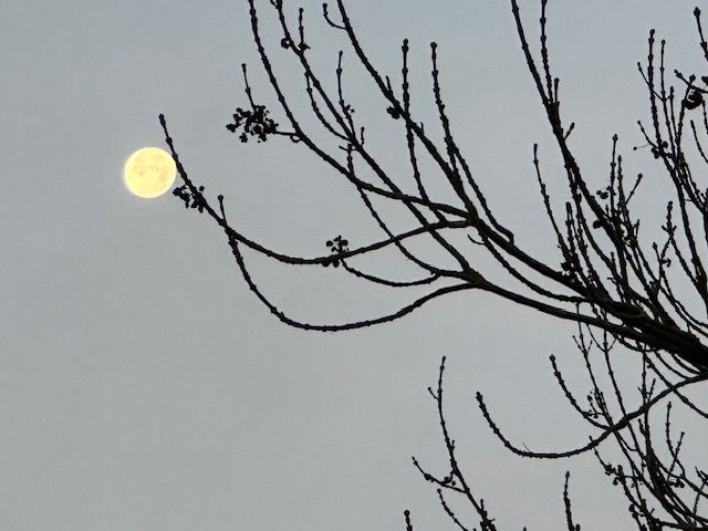 Фото Татьяны Соколовой, "Обзор"