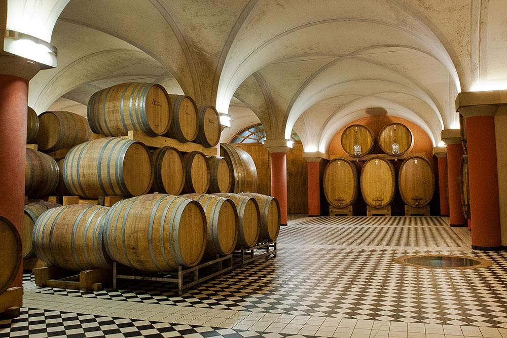wine cellar Az. Agr. Abbona Marziano