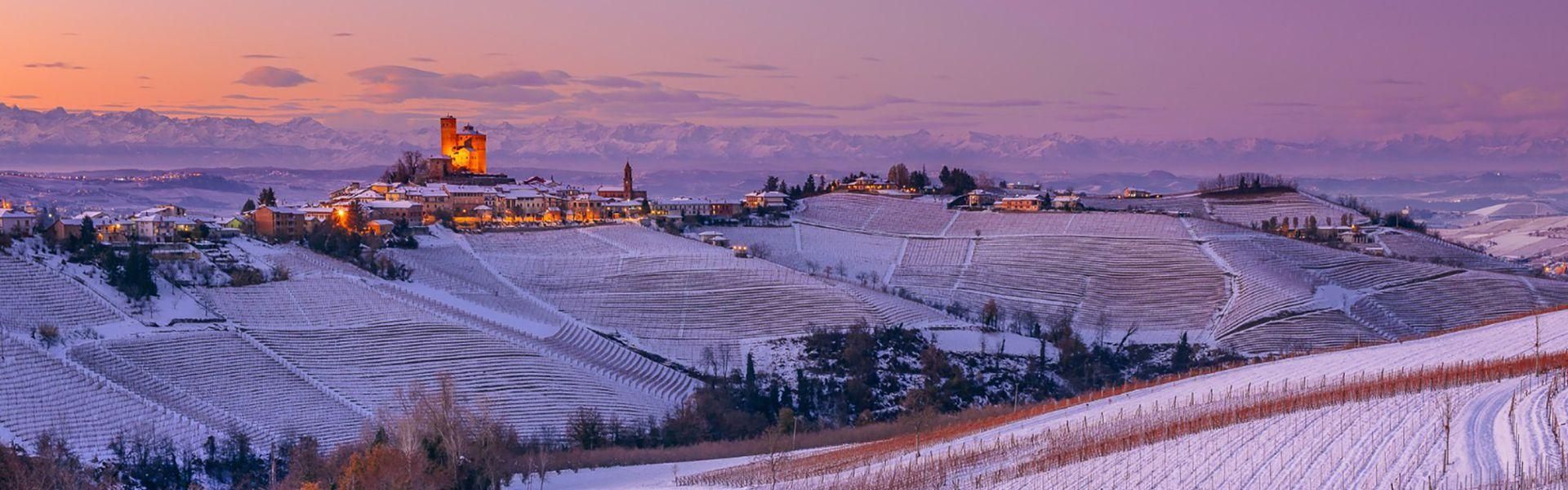 Serralunga d'Alba, vineyard Rivetto,winter