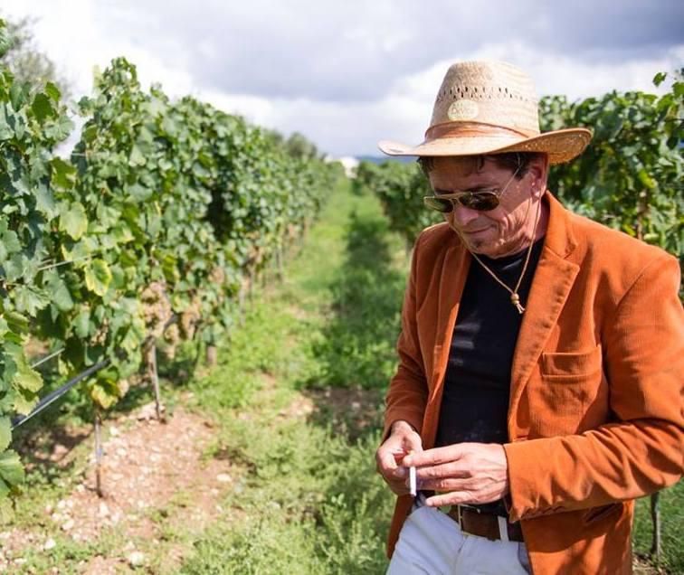 Vineyard and its owner Nello Biscotti