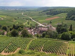 Vineyards near Nuits-Saint-Georges..