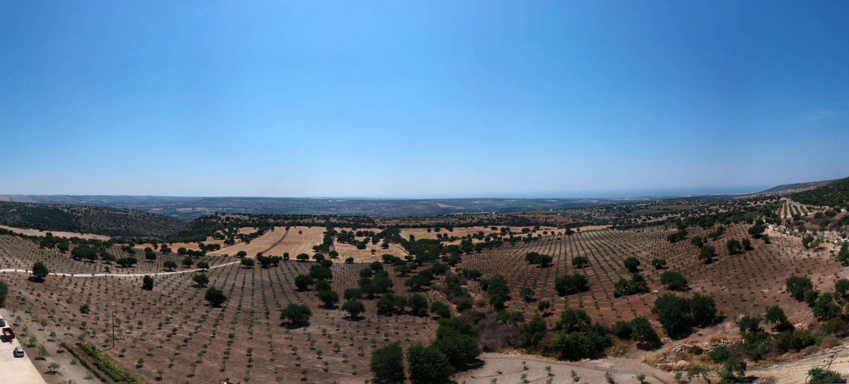 Панорама с оливами, «Tenuta Chiaramonte»
