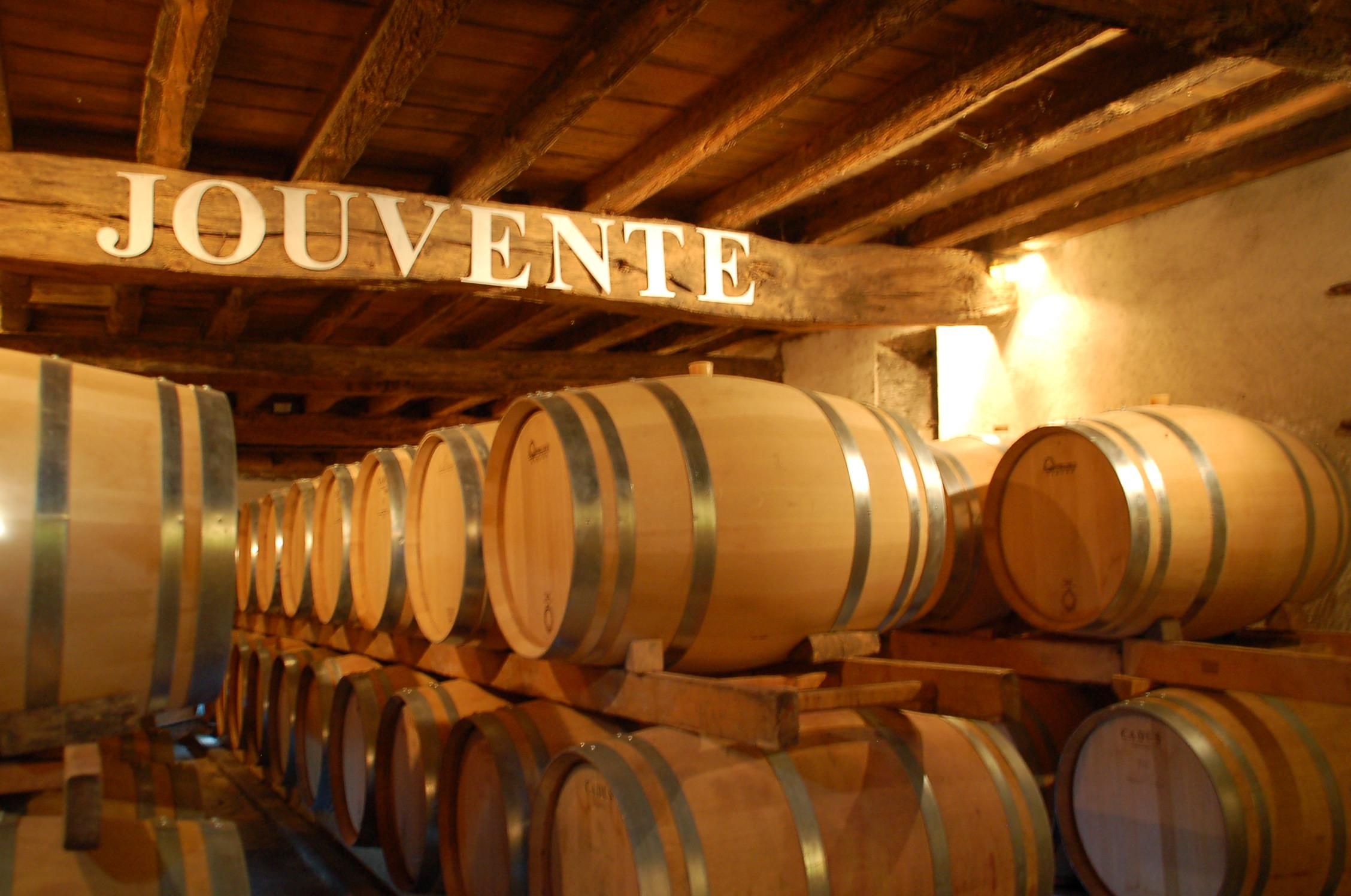 In the cellar of the Château Jouvente