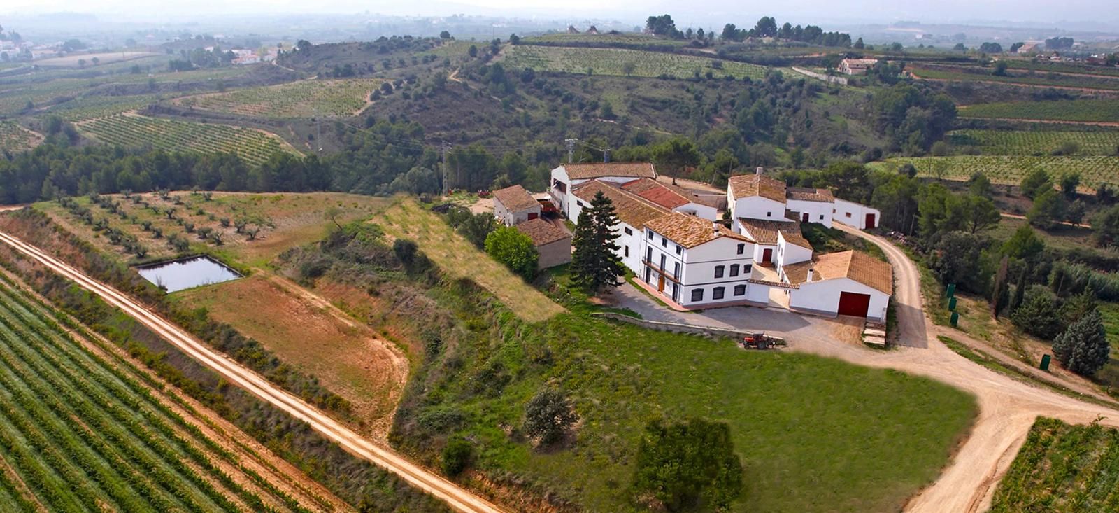 The aeric photo of the winery