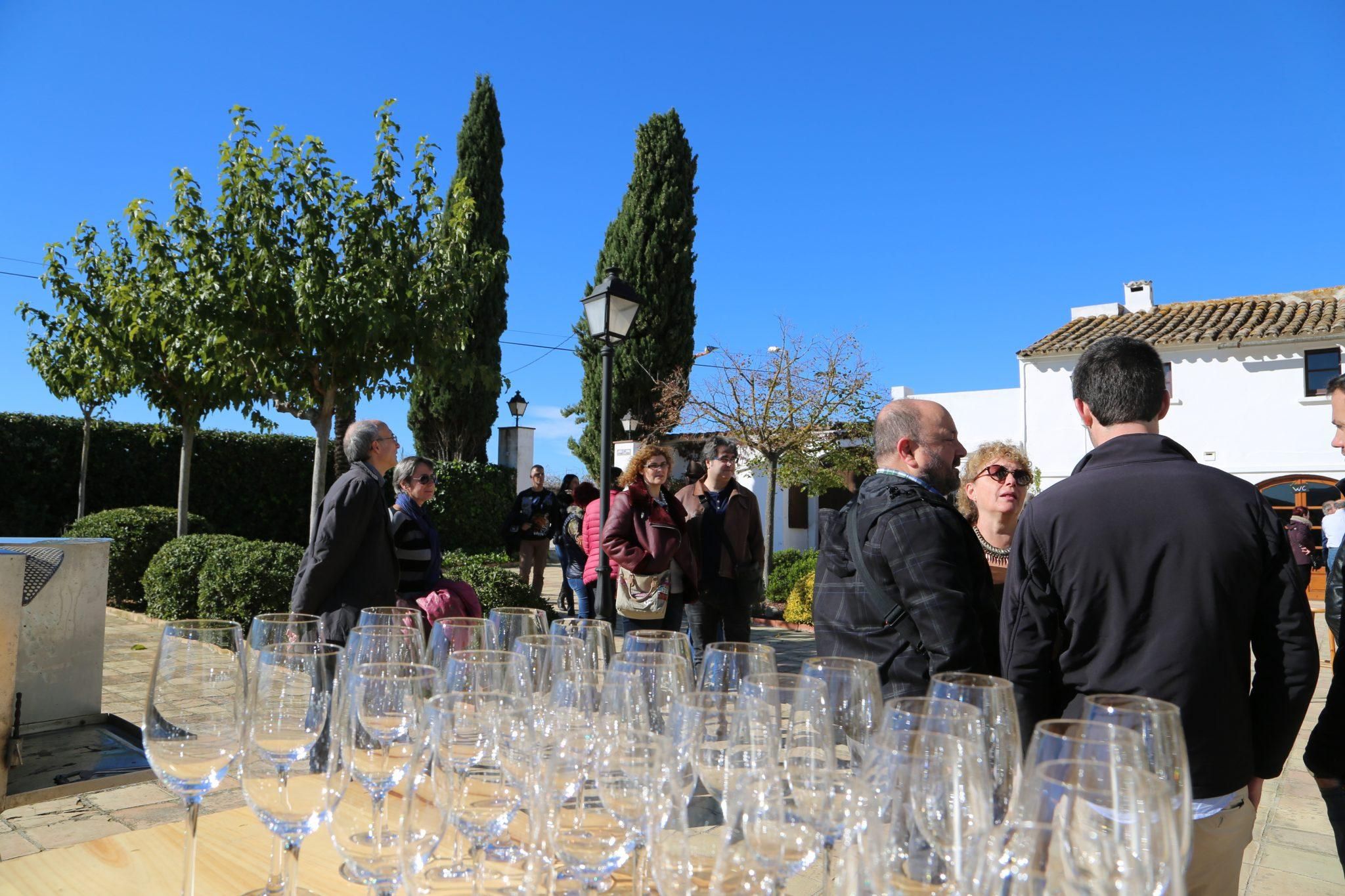 with a guided tour of the ecological vineyards