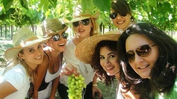 Girls in the vineyard of WARDY Winery
