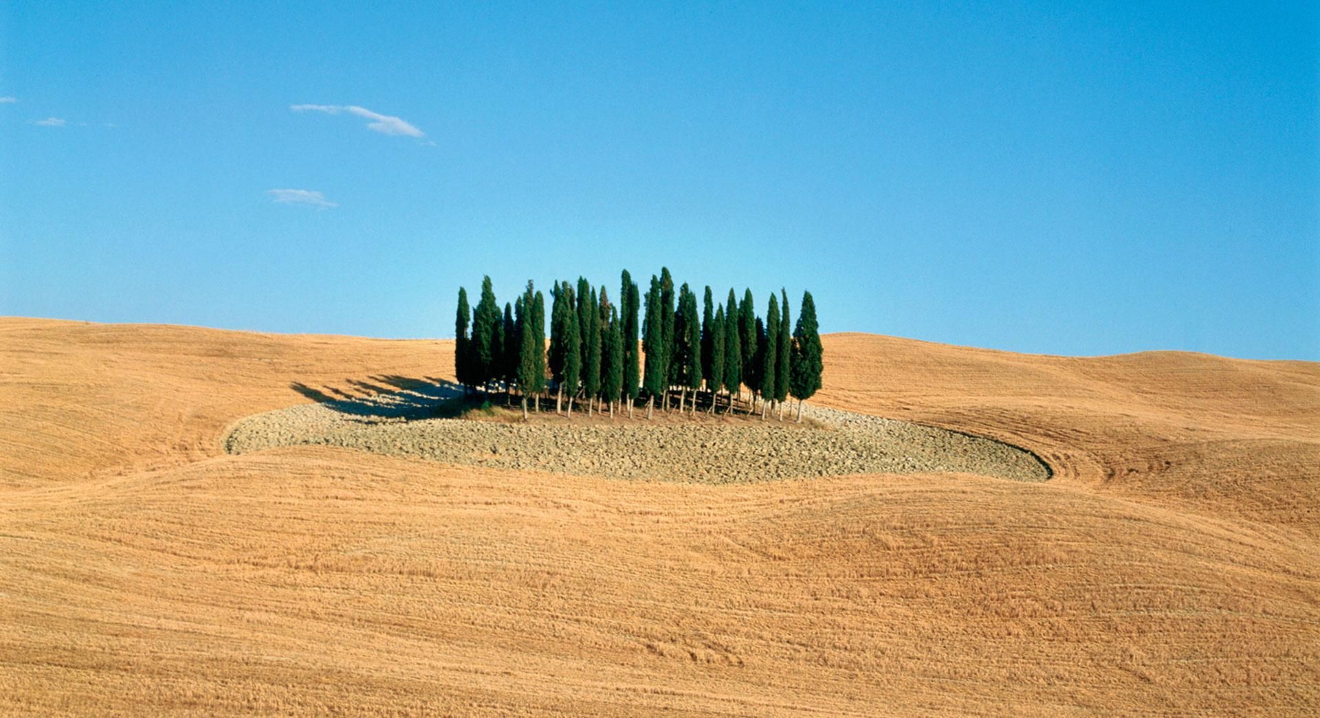 Famous photo from Val d'Orcia