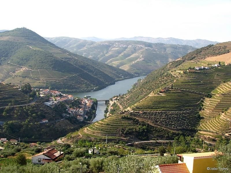 Douro Valley with vineyard terraces