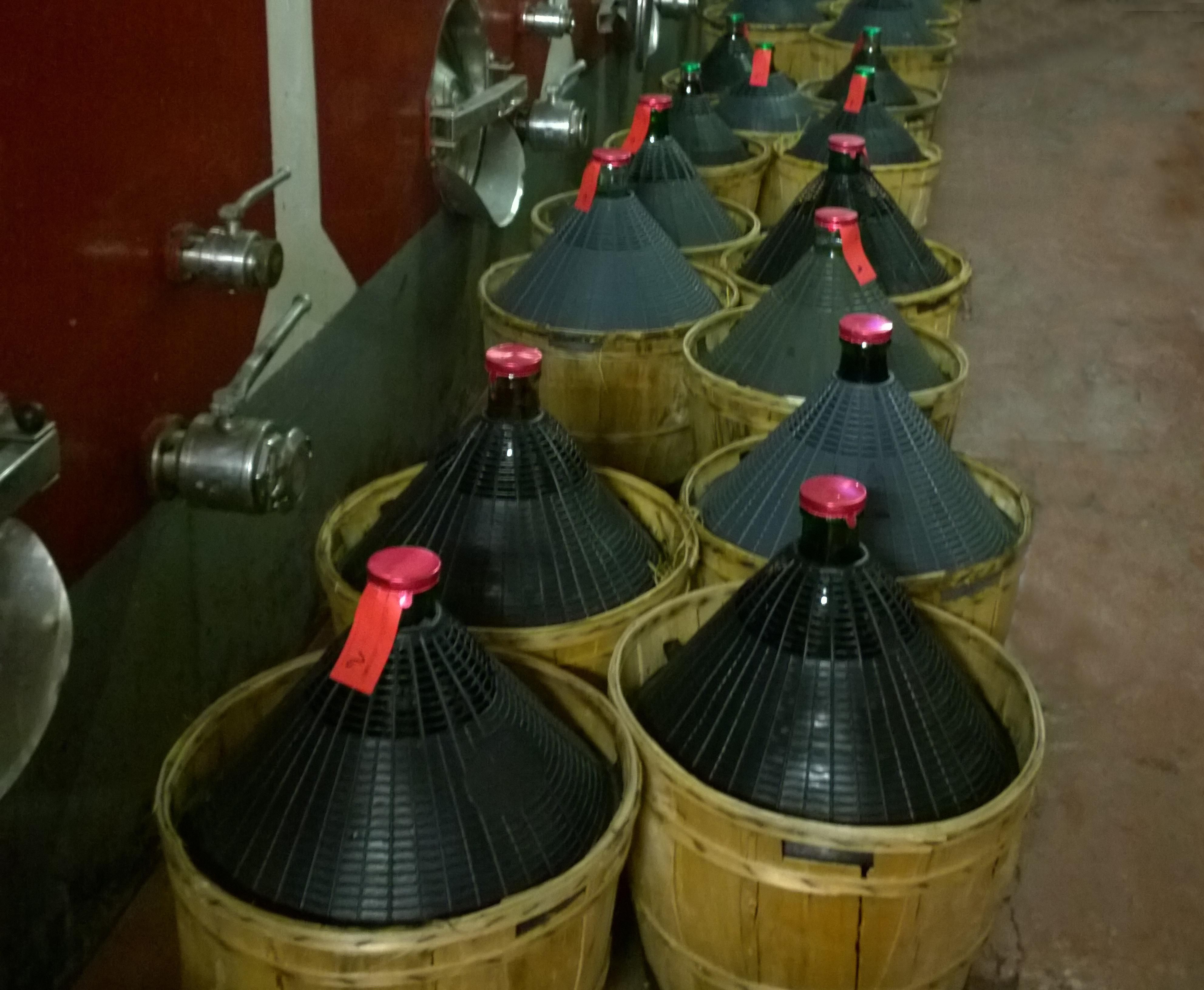 This is what “damigiane” looks like, big jugs