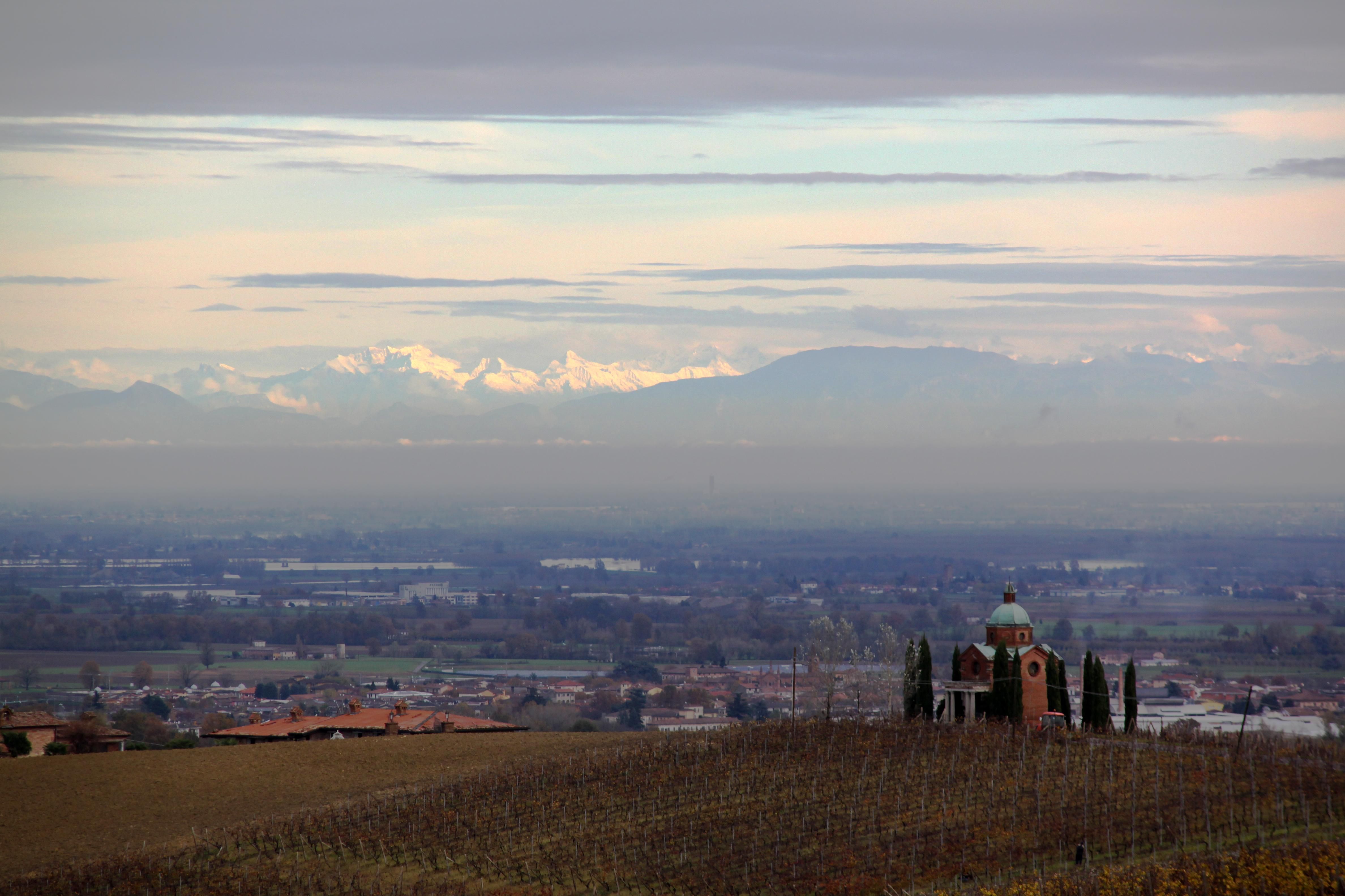Panorama with the vineyards "Mossi 1558"