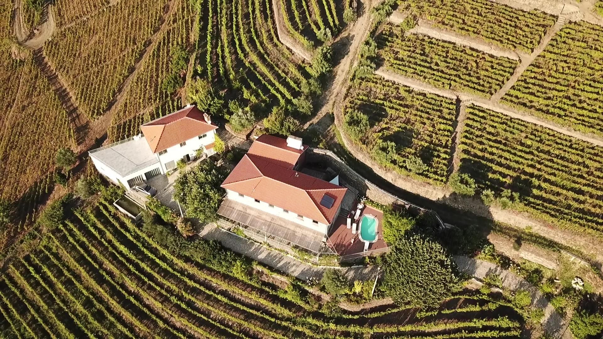 View of the Casa do Romezal estate
