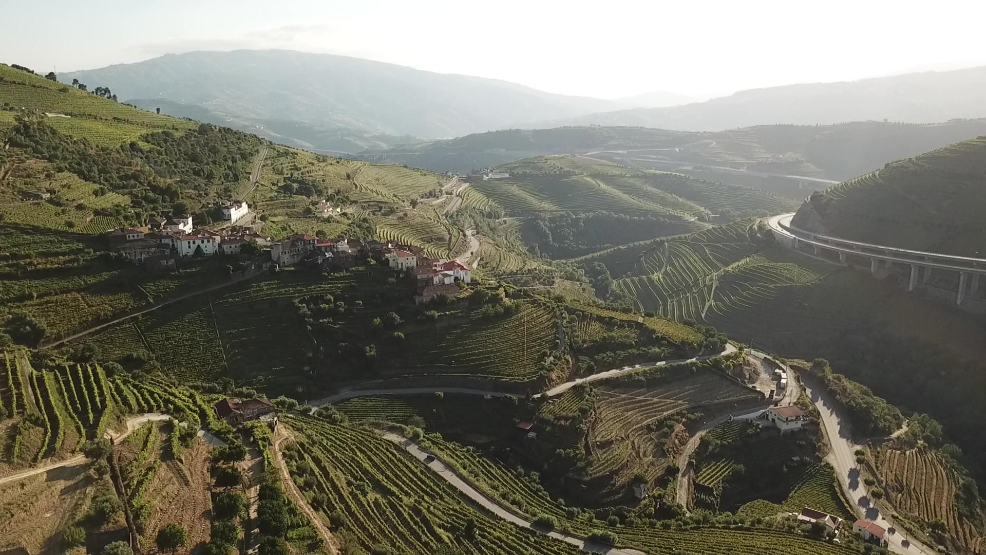Панорама с виноградниками Гуэда