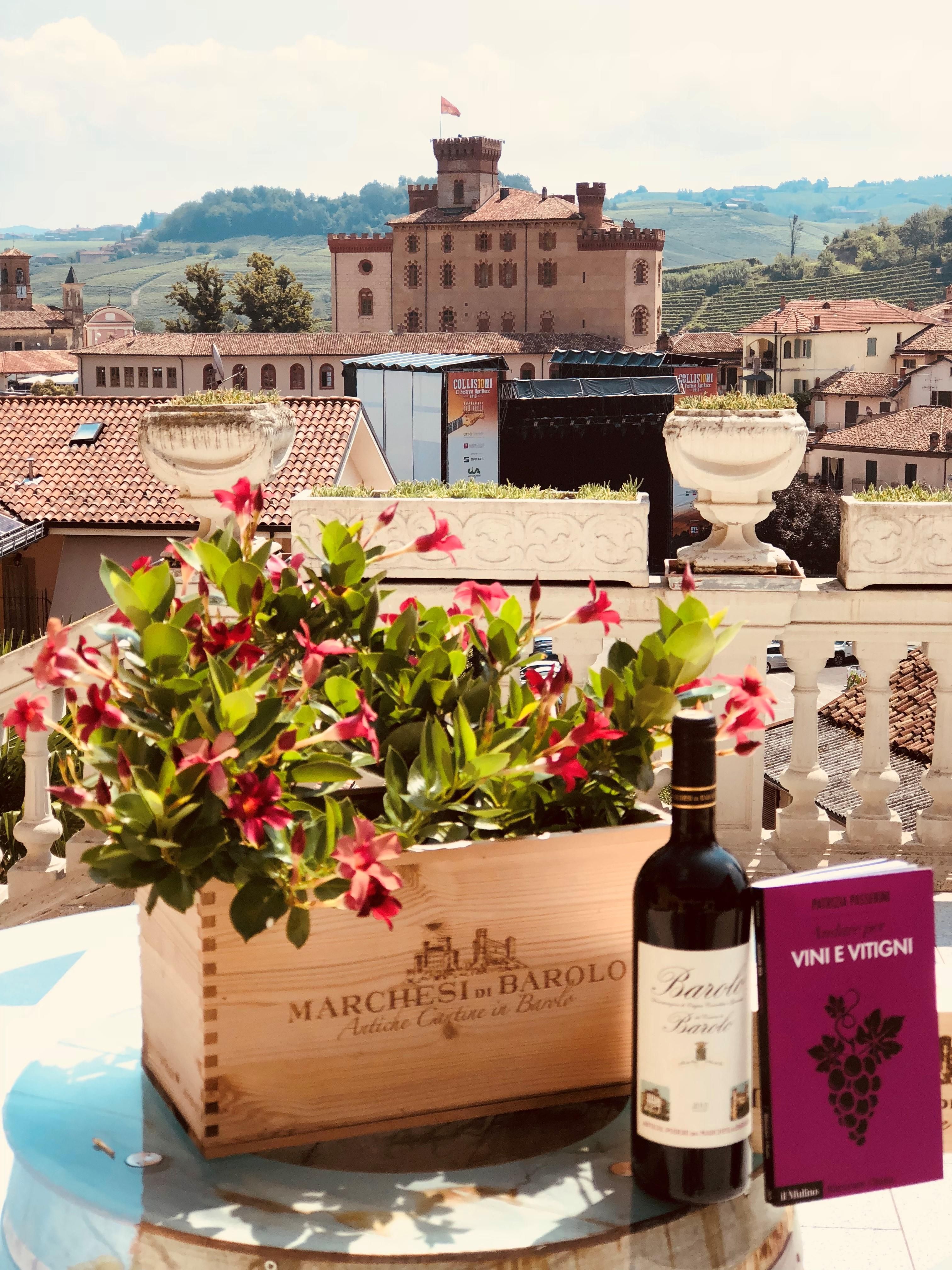 View of the Marchesi di Barolo winery