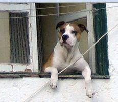 Фото www.lese.lt