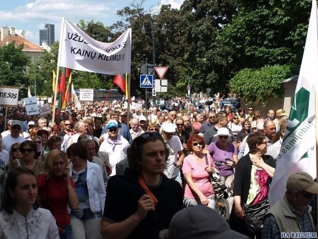 В центр Вильнюса вышли тысячи недовольных нынешней властью. Фото: Регнум