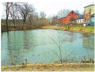 Пруд в Вижонеляй, 2012, (фото Н. Усова)