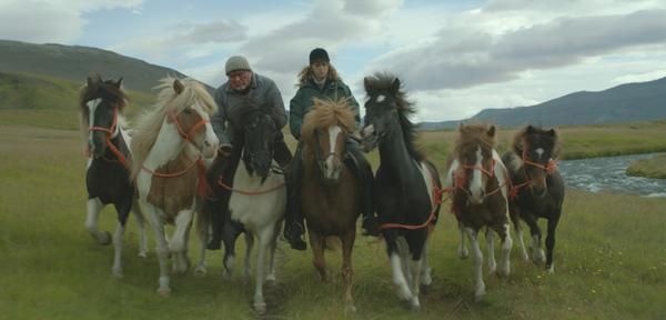 Кадр из фильма «О лошадях и людях»