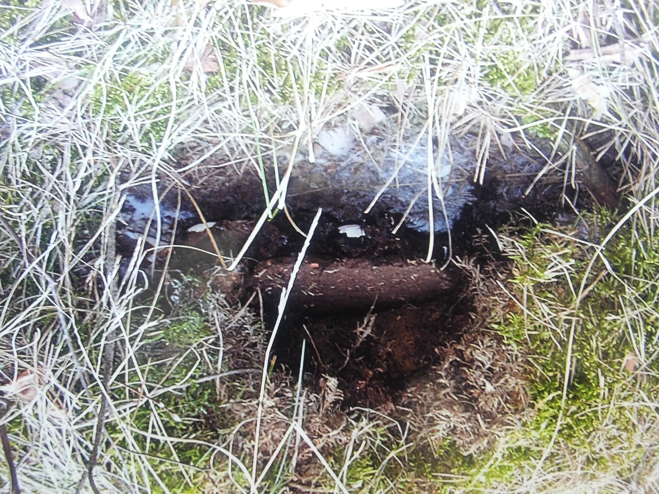Остатки колодца, который в песке руками выкопали узники ОФЛАГ-53