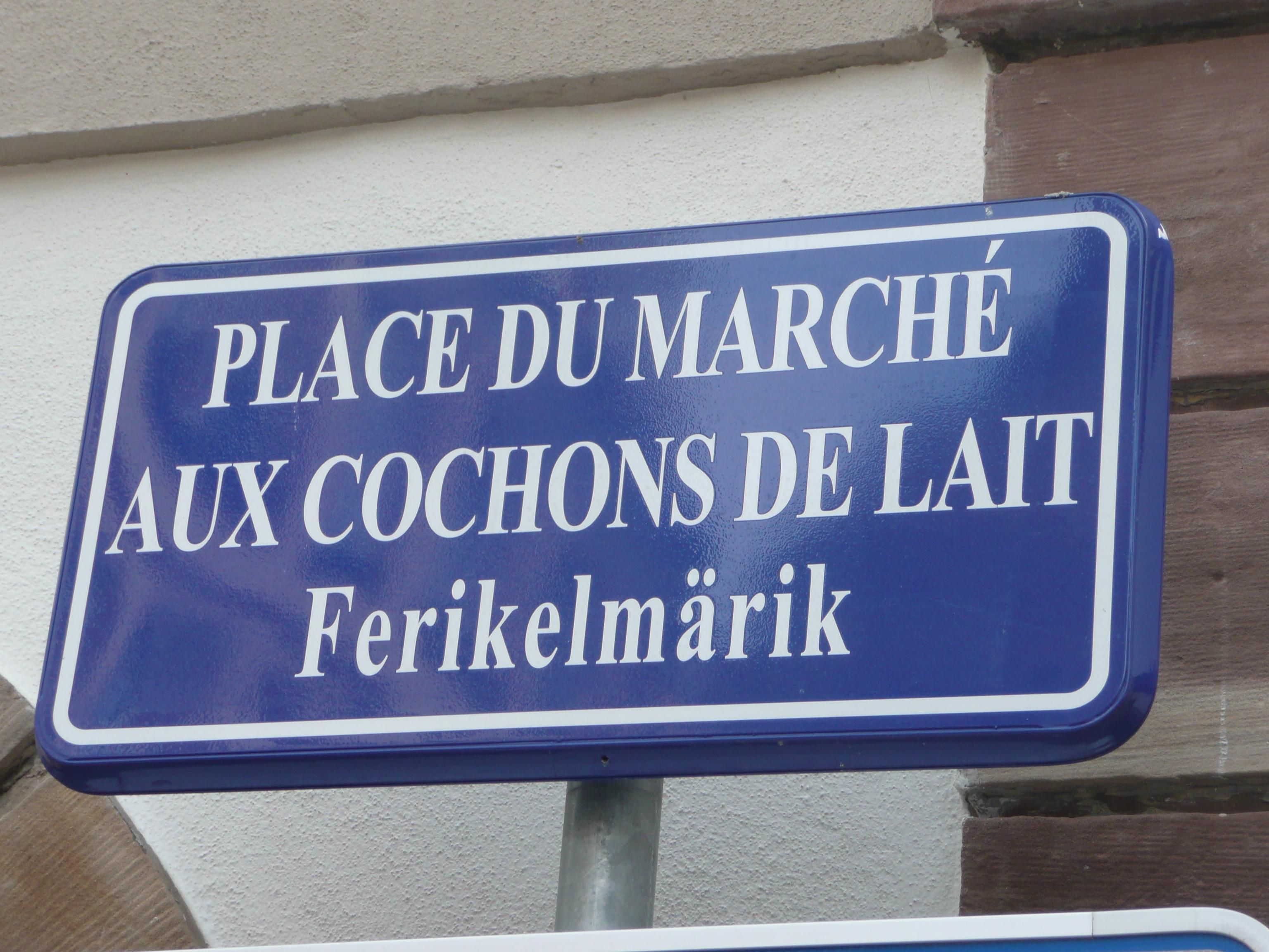 Страсбург в многоязычии почему-то не видит опасности для себя. Фото из архива "Обзора"