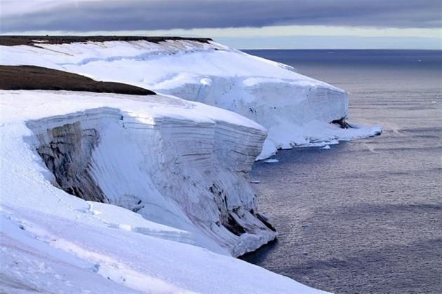 Ледниковые берега Земли Франца-Иосифа. Фото: Д. Банин