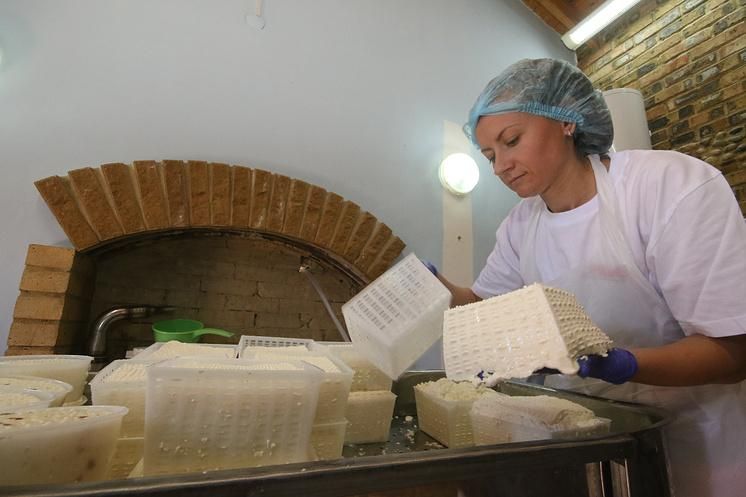 Производство сыра в сыроварне "Таврика" в селе Миндальное © Алексей Павлишак/ТАСС