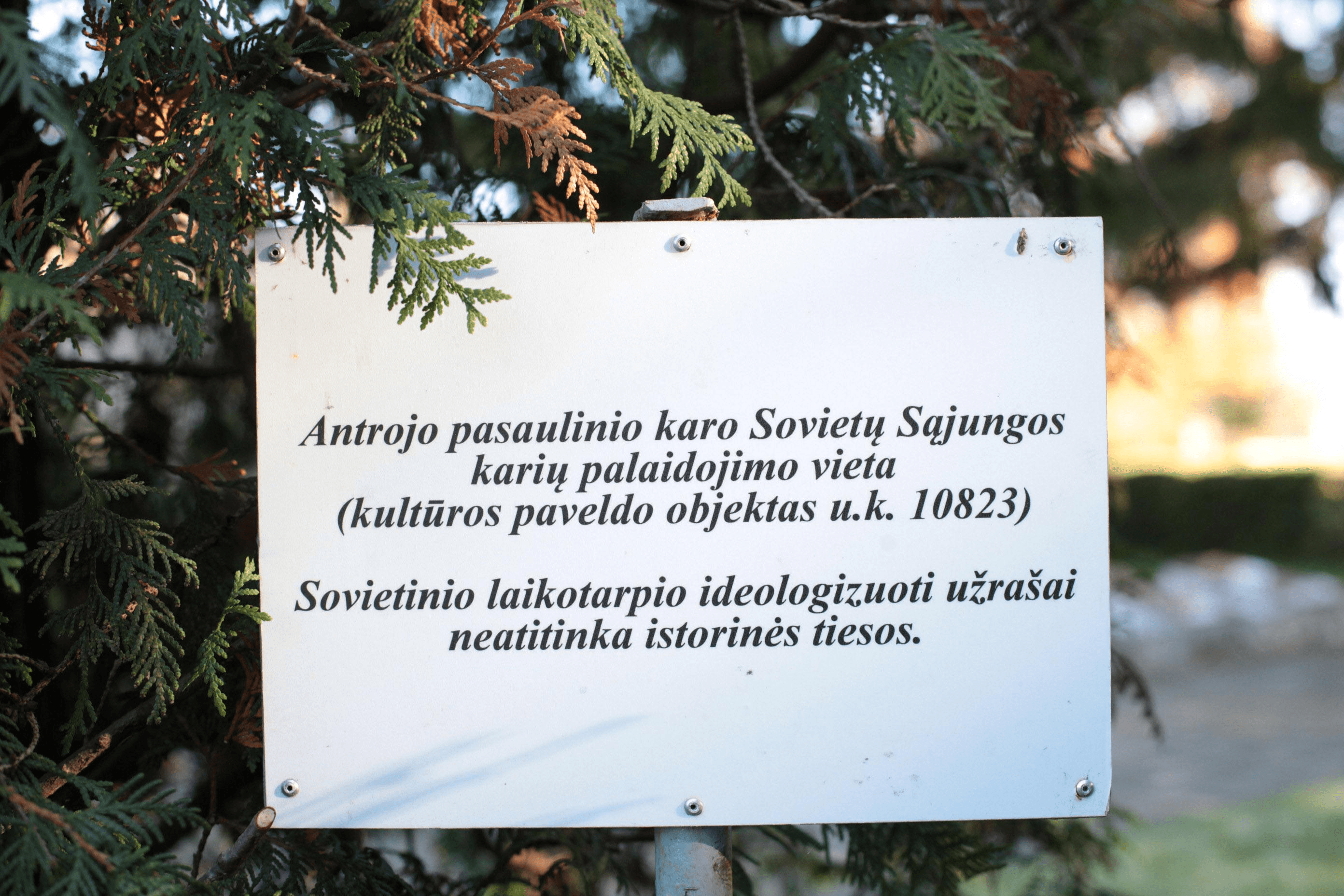 Анимация изображает процесс канальцевой реабсорбции, то есть обратного всасывания воды и веществ из содержащейся в просвете канальцев мочи в лимфу и кровь. © Иллюстрация РИА Новости . А.Полянина