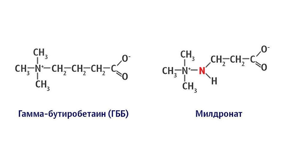 Отличие молекулы милдроната от гамма-бутиробетаина (ГББ). © Иллюстрация РИА Новости. А.Полянина