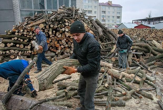 Доля леса в экспорте в ЕС выросла за четыре года почти вдвое.   Фото: Глеб Гаранич / Reuters