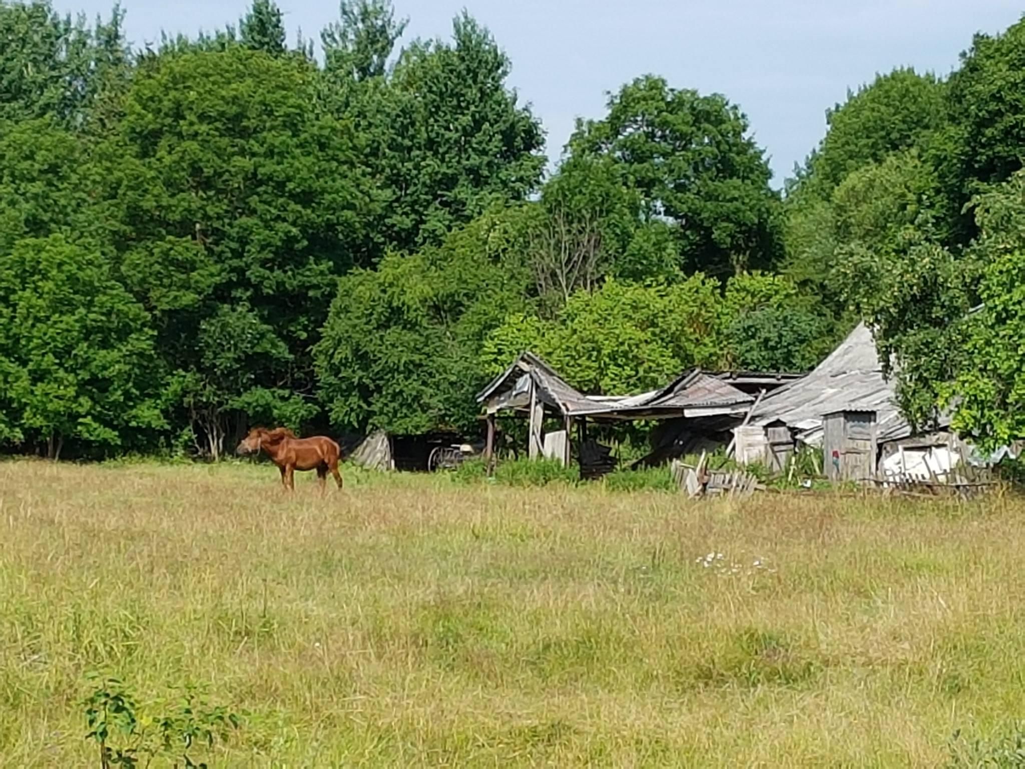 НА ФОТО: Брюссельскому гостю показали самую обычную литовскую деревню, находящуюся всего в 26 км от Вильнюса