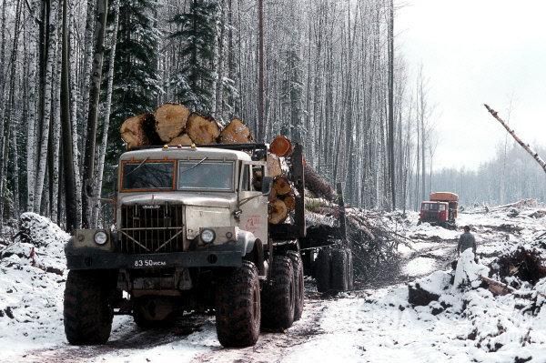 Работы по заготовке леса в леспромхозе Новая Игирма. © РИА Новости / Валерий Шустов