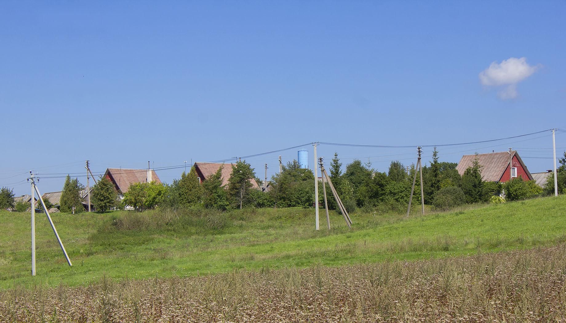 Фото Виктора Грецкаса, "Обзор"