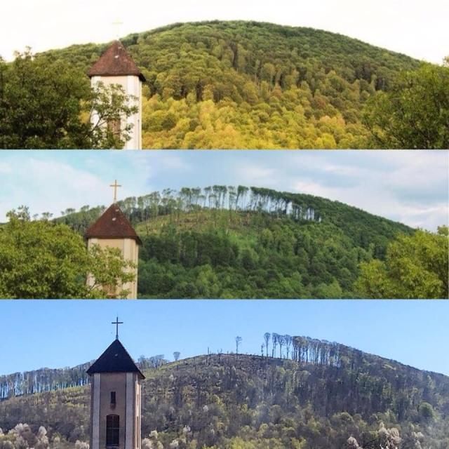 Одна из карпатских гор на Буковине, снятая с одного места в 2013-м, 2014м и 2020 годах. Facebook, страница: Юрiй Керецман