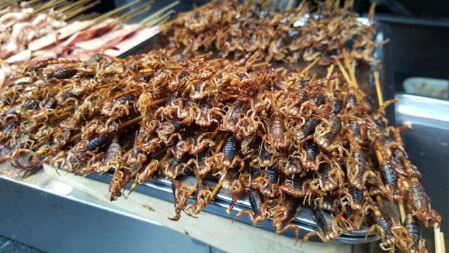 Скорпионы - часть китайской кухни