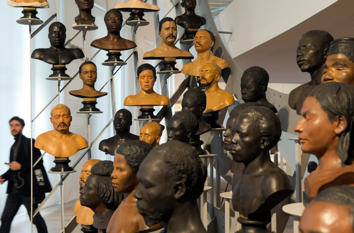 В антропологической коллекции парижского Музея человечества находится более 1000 скелетов и около 18 000 черепов. Возможно, это число в обозримом будущем может уменьшиться Фото: Francois Mori / AP