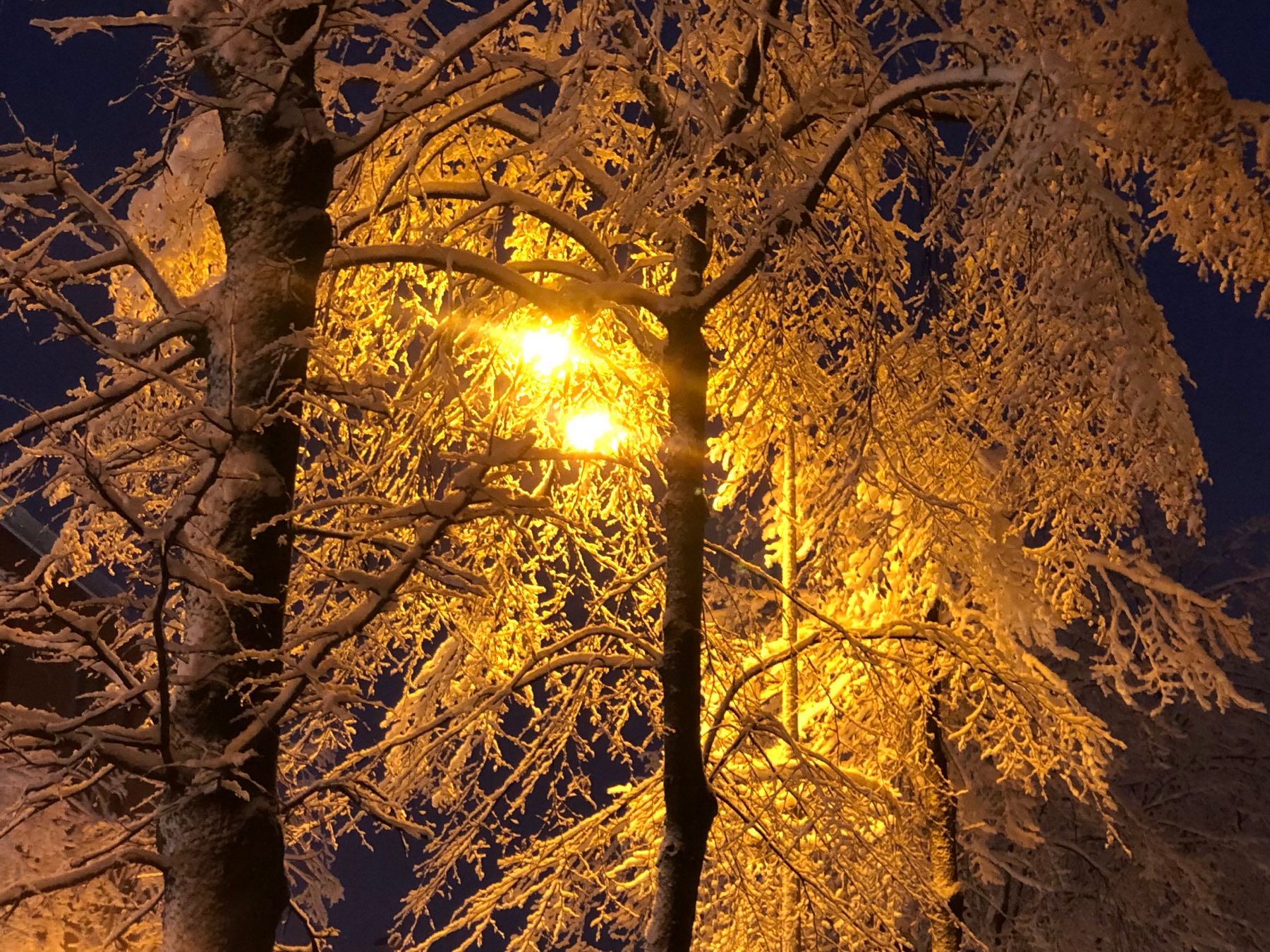 Фото Татьяны Соколовой, "Обзор"