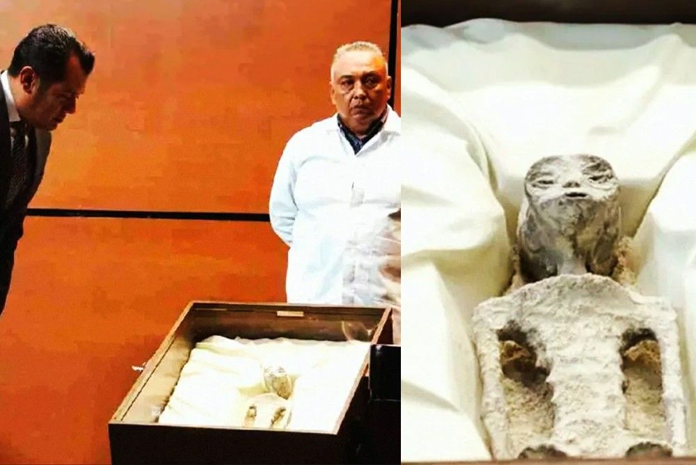 В Перу нашли 14 мумифицированных останков инопланетных существ @ Фото: Соцсети