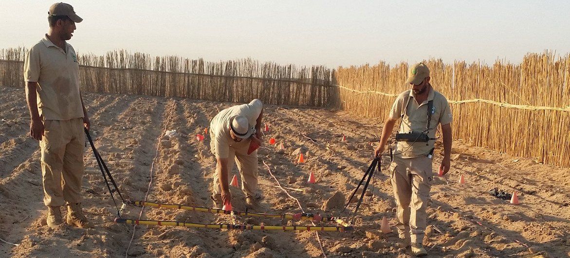 Фото DMA/RMAC-S Iraq Группа экспертов по разминированию очищает от кассетных бомб поле в одном из иракских сел.