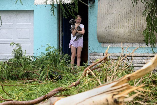 Фото: Crystal Vander Weit / Reuters