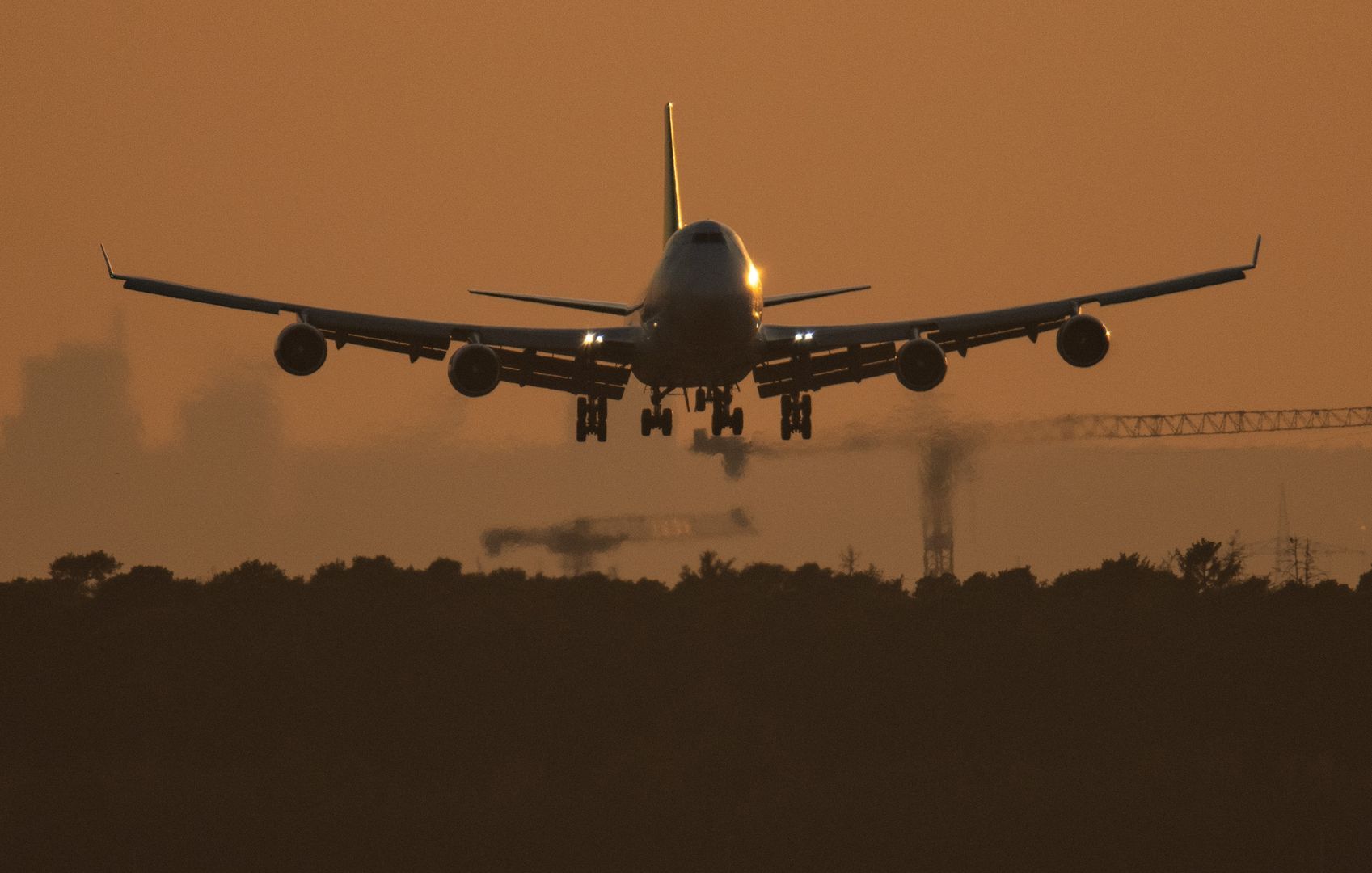 Фото:  Global Look Press/Boris Roessler/dpa