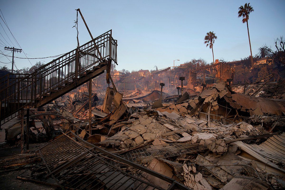 Фото: John Locher / AP